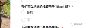 跨境垂直赛道从0到10万只需3个月?跨境现在卖什么比较好卖?-图片2